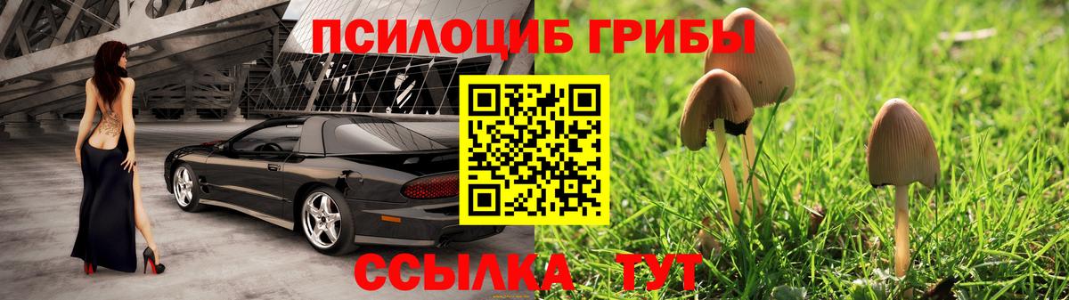 наркотики  Галлюциногенные грибы мухоморы  Вход с VPN  Кизилюрт 